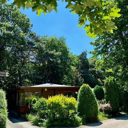 Boslaanhuisje Chalet *