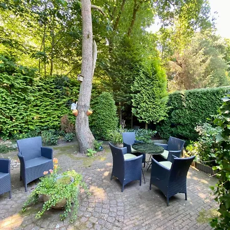 Boslaanhuisje Chalet