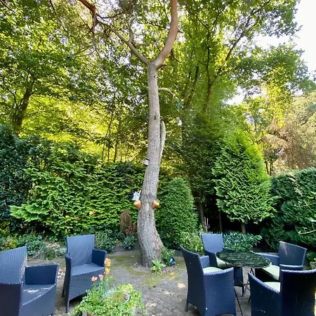 Chalet Boslaanhuisje Harderwijk